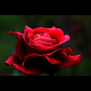 Meet your Posher, Aileen